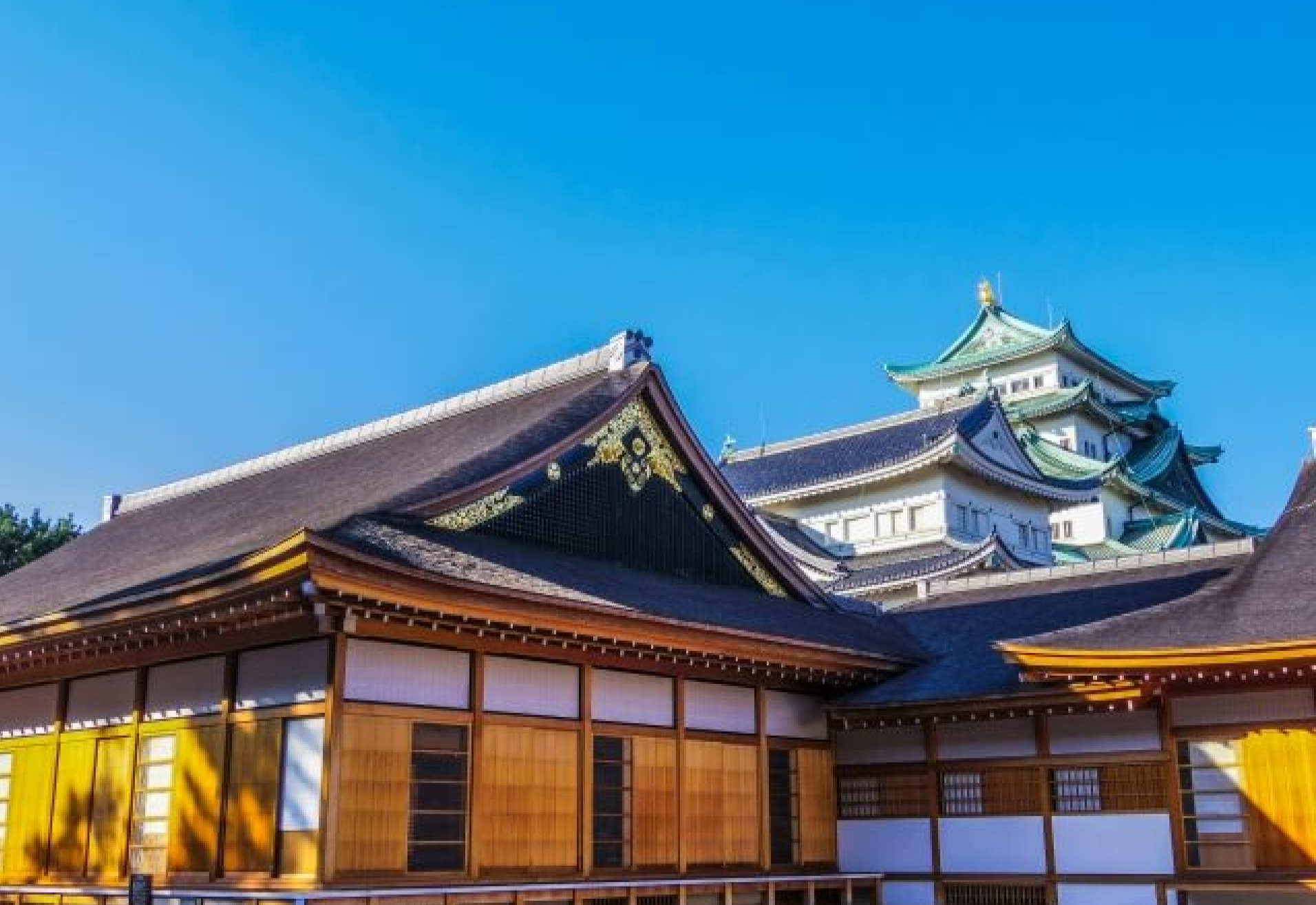 エリアで探す 中部